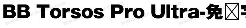 BB Torsos Pro Ultra字体转换